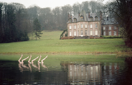 Synchronized Swimming Photography