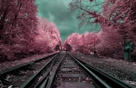 The Infrared Landscapes