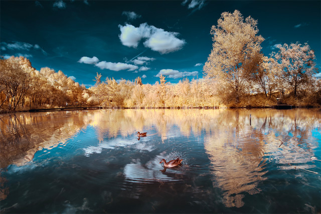 The Infrared Landscapes-5