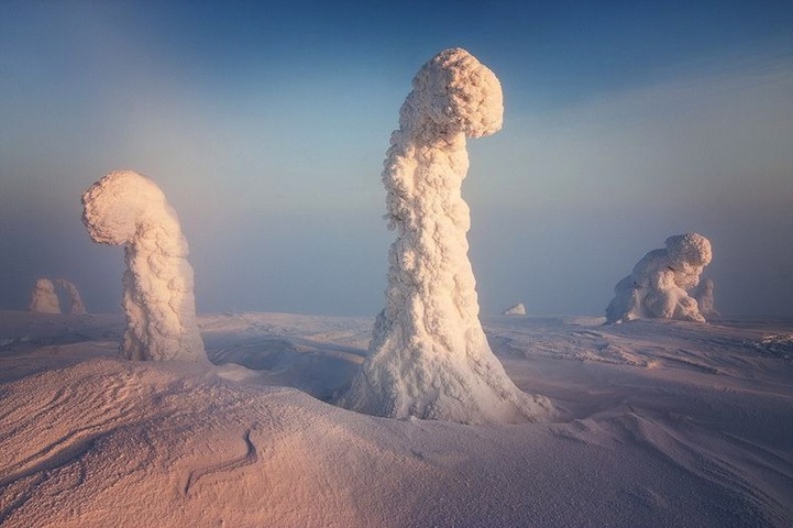 Trees Frozen in Subzero Temperatures2