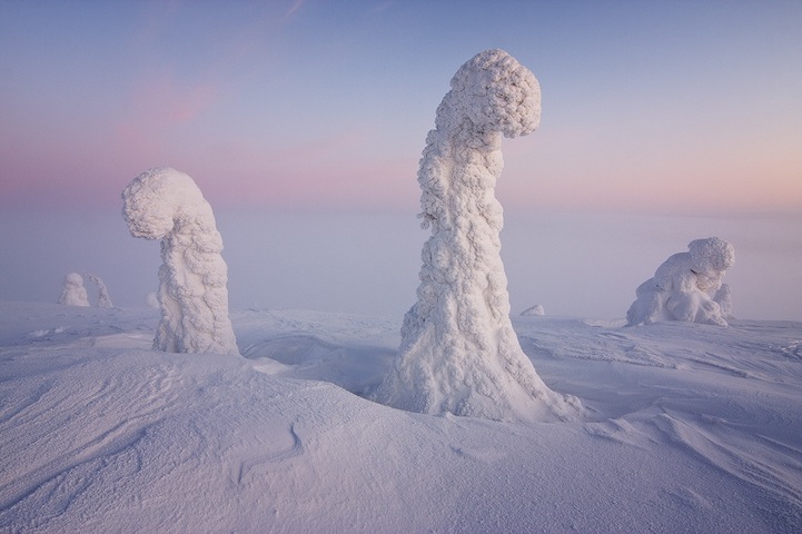 Trees Frozen in Subzero Temperatures6