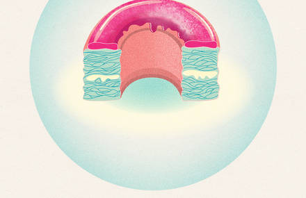 Food Crazes of 2013