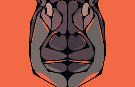 Wildlife Series