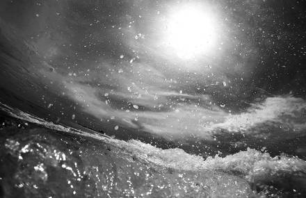 Inside the Sea