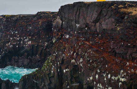 Beautiful Iceland: spring and summer.