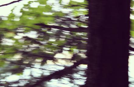 Landscape in motion