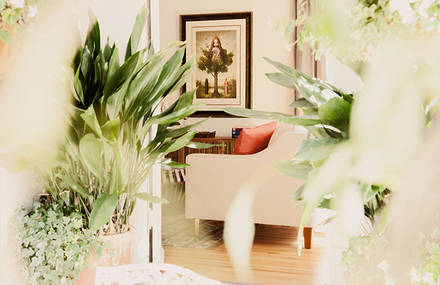 Spaces by Kult Studio