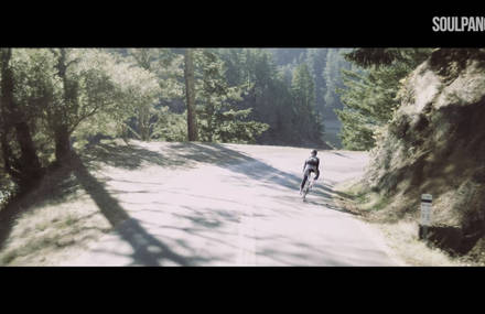 Why We Play-Evelyn Stevens