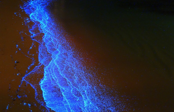 Bioluminescent Beach in Maldives