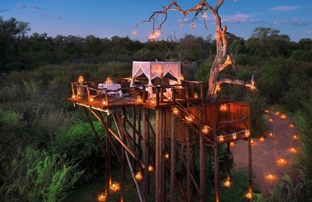 Sleep Under the Stars at South African Resort