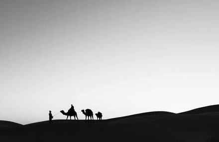 Sahara