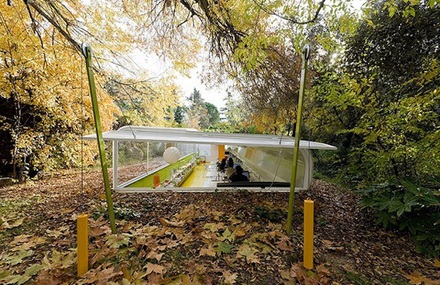 An Office In The Middle Of The Forest