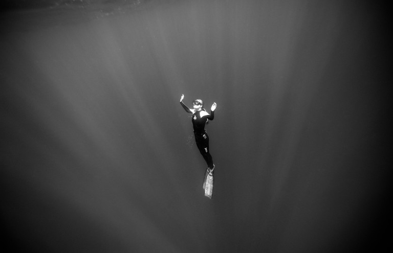 27 Free diving with sharks by Donald Miralle