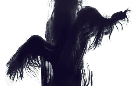 hairy silhouette