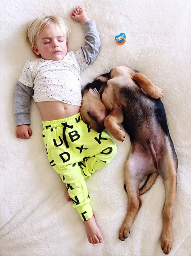 A Naptime Story with Dog and Baby-10