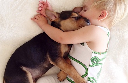 A Naptime Story with Dog and Baby