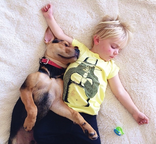 A Naptime Story with Dog and Baby-3