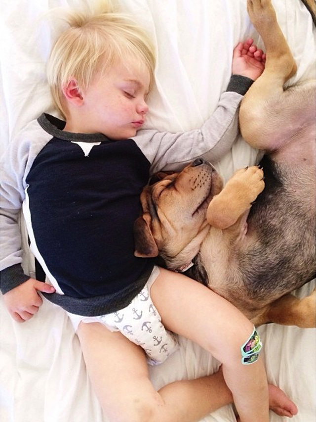 A Naptime Story with Dog and Baby-9