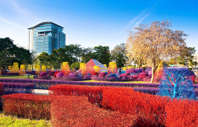 Colourful Campus of Thailand