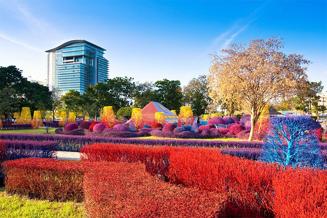 Colourful Campus of Thailand 1
