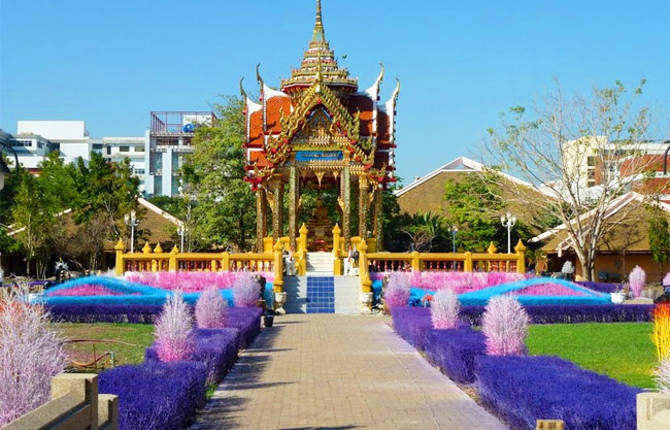 Colourful Campus of Thailand