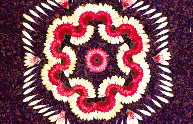 New Flower Mandalas by Kathy Klein