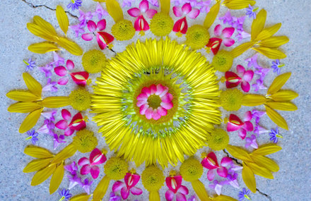 New Flower Mandalas by Kathy Klein