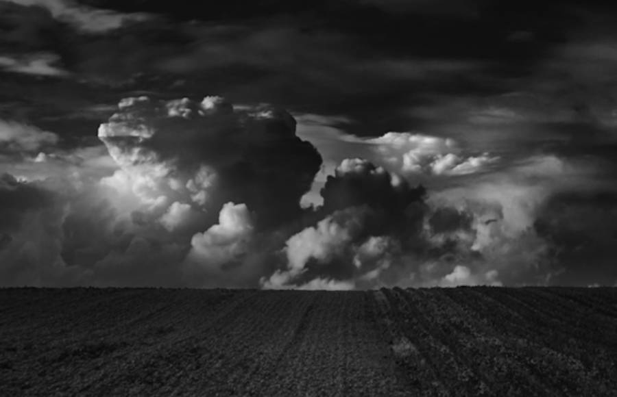 Black and White Landscapes