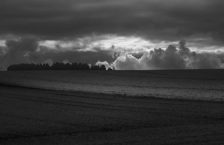 Black and White Landscapes