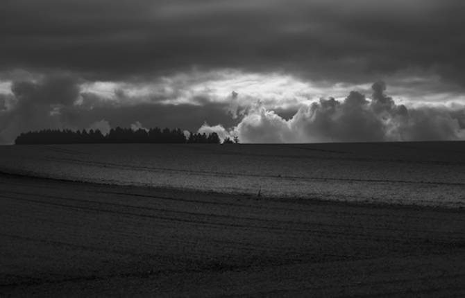 Black and White Landscapes