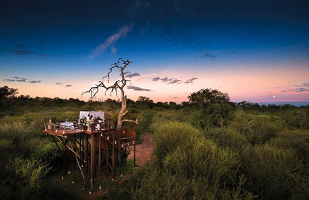 Sleep Under the Stars at South African Resort