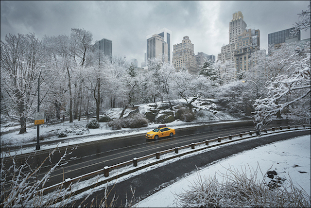 New York by Renaud Julian 18