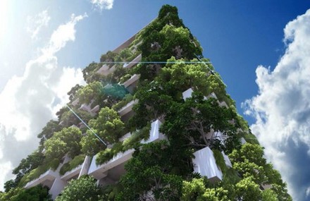 Tallest Vertical Garden