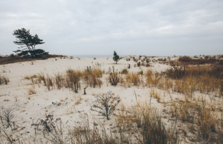 Rockaway Beach by Celine Hamelin