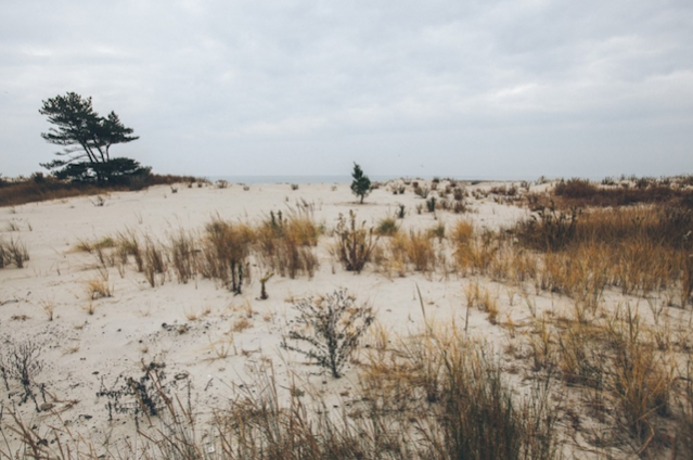 Rockaway Beach by Celine Hamelin – Fubiz Media