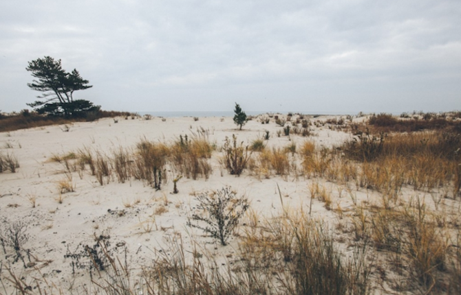 Rockaway Beach by Celine Hamelin