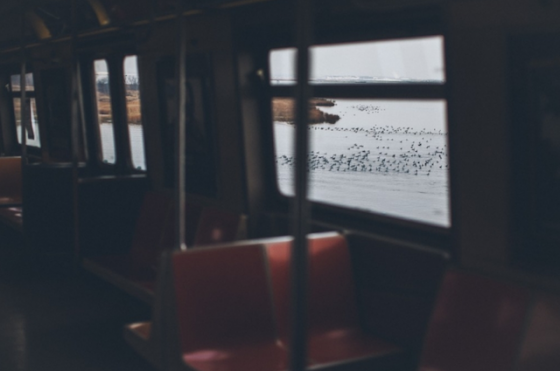 Rockaway Beach by Celine Hamelin – Fubiz Media