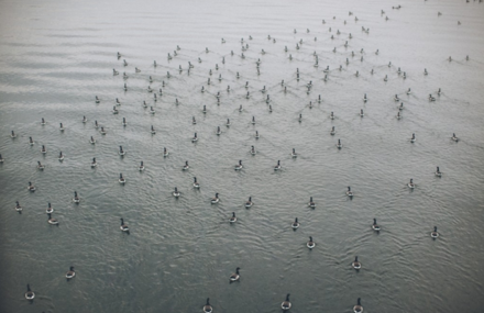 Rockaway Beach by Celine Hamelin