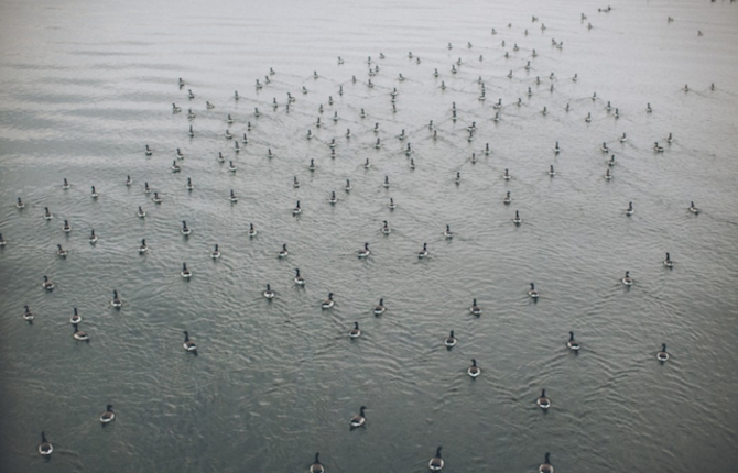 Rockaway Beach by Celine Hamelin