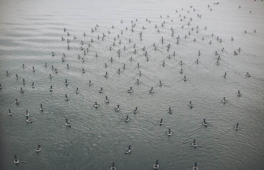 Tag : Celine Hamelin – Fubiz Media