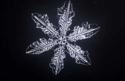 Microscopic Time-lapse Video of Snowflakes