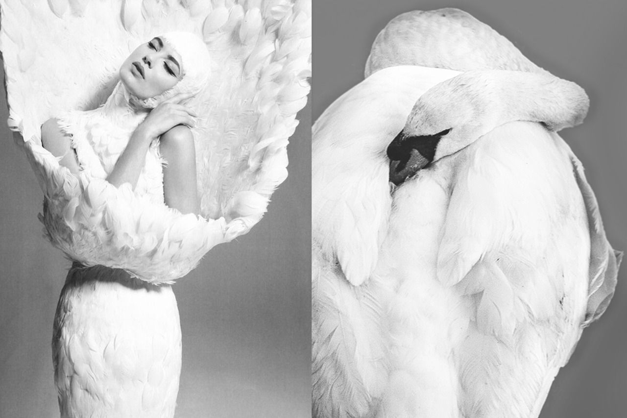 Sofia Sanchez & Mauro Mongiello wearing Alexander McQueen | Sleeping Swan by Nigel French