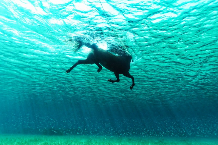 Underwater 16