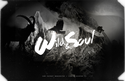 Wild & Soul