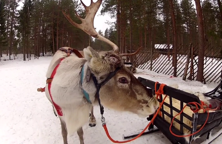 Roadtrip : Finlande, Suède, Estonie – Mars 2014