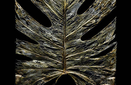 Textures of Time
