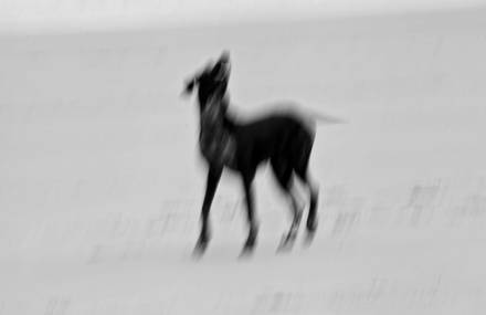 Peruvian Photography Exhibition