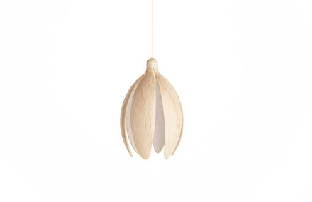 Lamp bloom