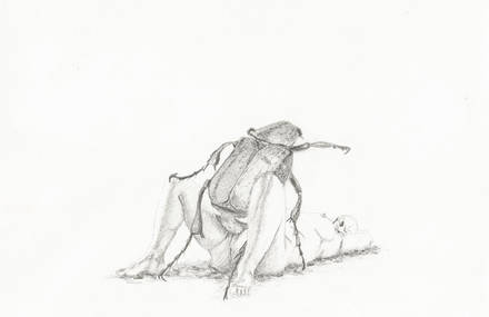 Métamorphoses
