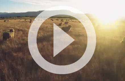 TripConnexion filme du ciel l’Australie !